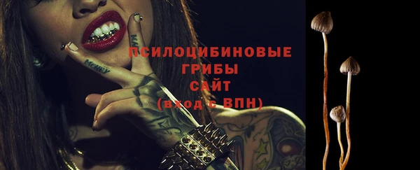 молекула духа Володарск