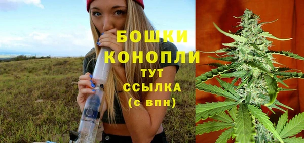 ешки Верхний Тагил