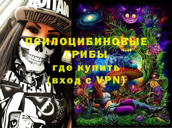 молекула духа Володарск