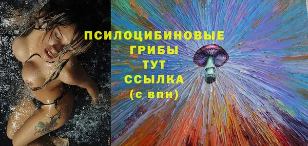ешки Верхний Тагил